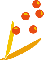 fleur3