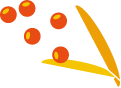 fleur5